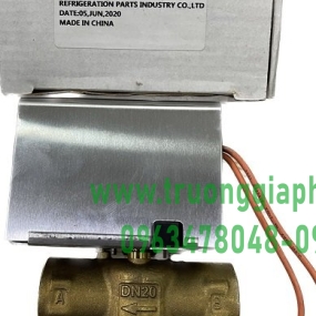Van điện từ ON-OFF DN-20