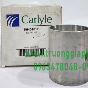 Bạc ổ đỡ 5H401012